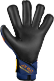 Reusch Attrakt Duo Evolution 5470055 4411 blue orange back